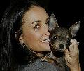 Demi Moore s csivije, Vida Blue