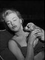 Marilyn Monroe (?)